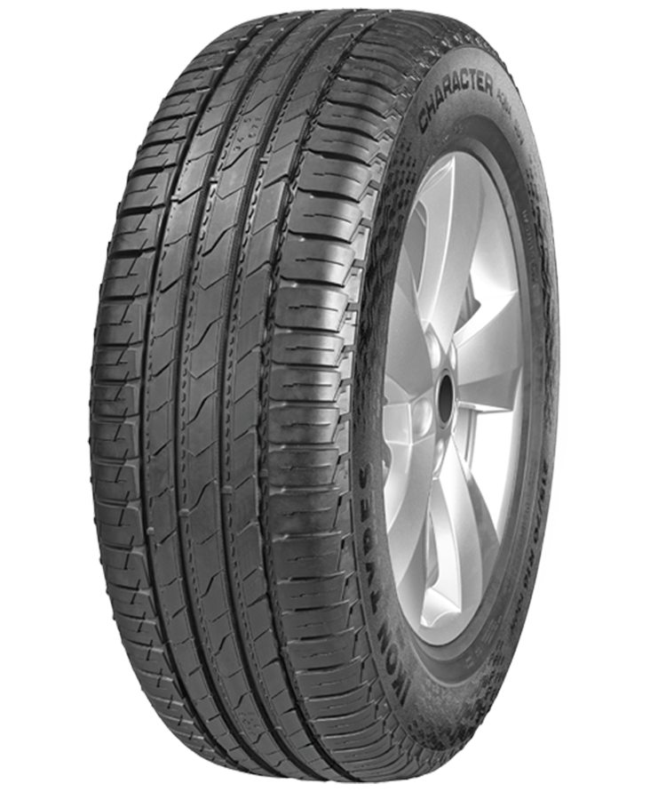 Ikon (Nokian Tyres) Character Aqua SUV (Nordman S2 SUV) 225/60 R17 99H
